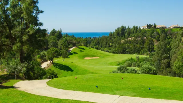 Chaparral Golf Club - imagen del club