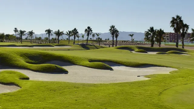 Mar Menor Golf Resort - imagen del club